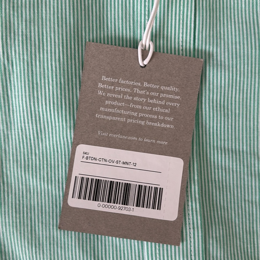 Everlane NWT Women’s Long Sleeve Button Down Oversized 100% Cotton Striped Mint - Picture 8 of 10